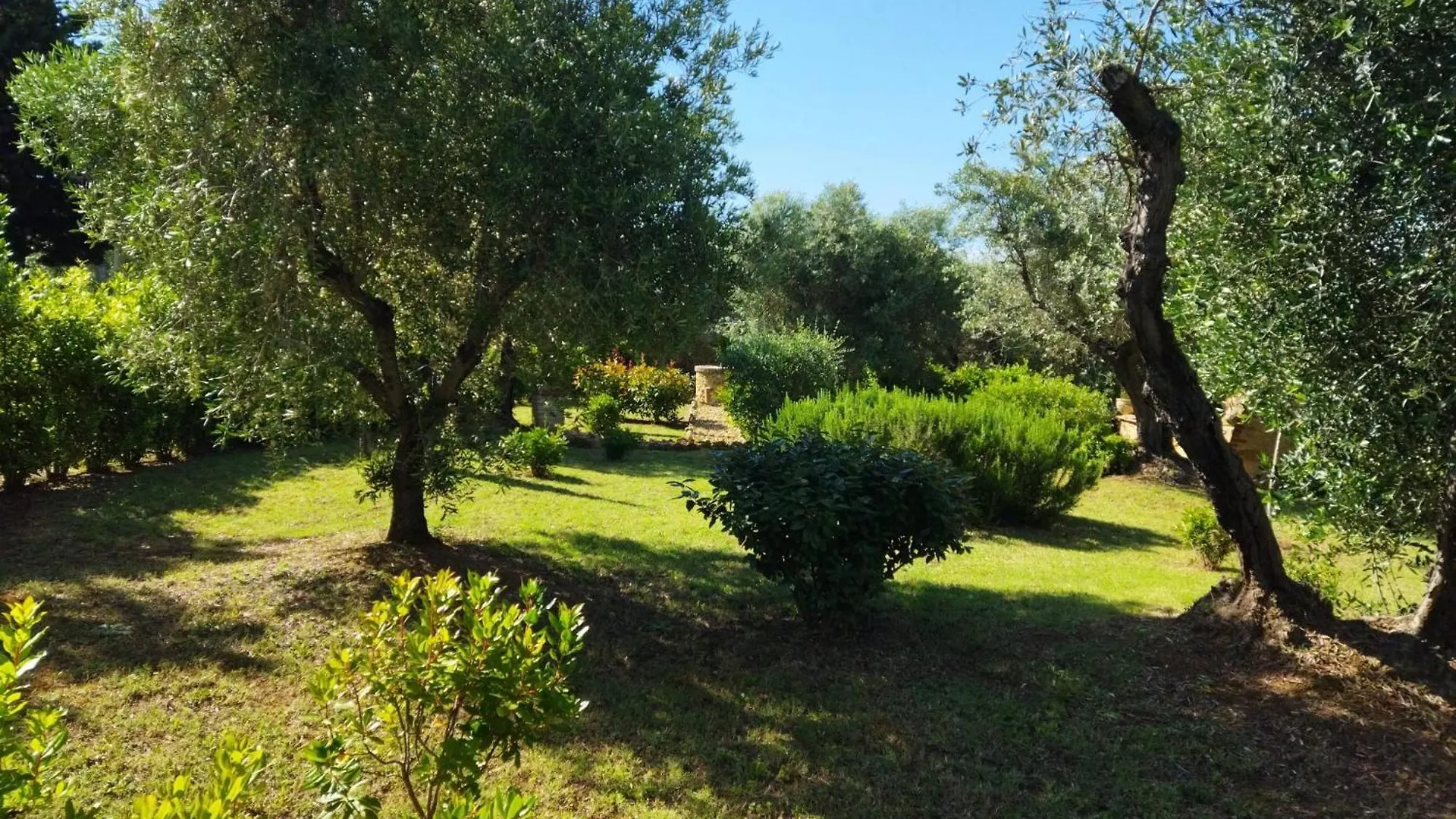 Case&Colline Casa Del Sole Casale Marittimo